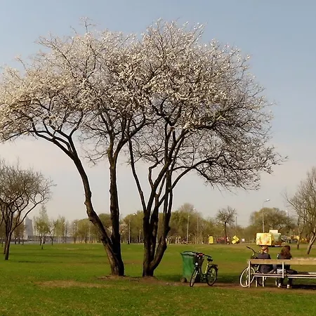 Lejlighed Cozy Vibes Like It Is Quiet With Three Bedrooms