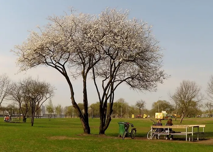 Daire Cozy Vibes Like It Is Quiet With Three Bedrooms